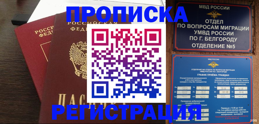 прописка для школы в Домодедово